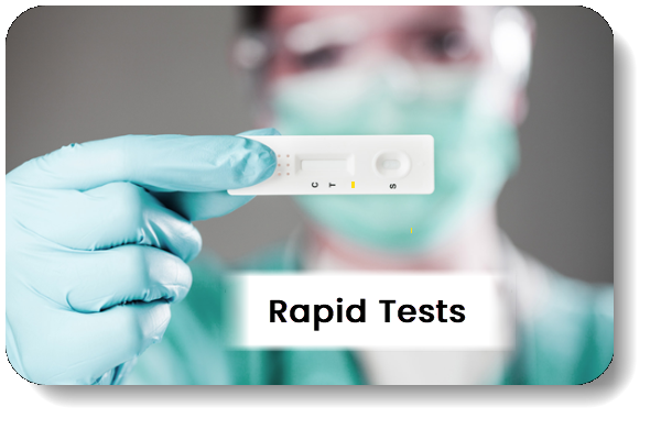 Rapid Tests
